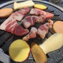 다원참숯뒷통구이