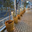 서울삼일교회 | 휘낭시에 좋아하면 무조건 저장각｜은평구 구산역 일월삼일