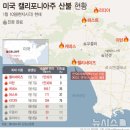 수풀퍼시픽