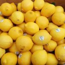 레몬 이미지