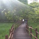 (주)투웰브마운틴즈 이미지
