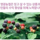 다드림푸드 이미지