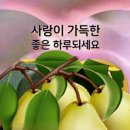 880 이미지
