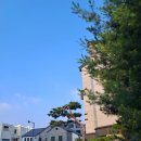 누구나 쓰는 AI 블로그 네이버블로그