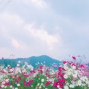 코스모스치과의원 이미지