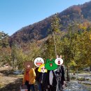 연인 산촌 농원