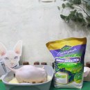 그랜드마스터카 이미지