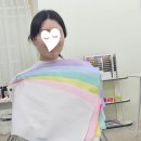 [후기] 컬러시그널 퍼스널컬러 진단(내돈내산)
