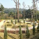 봉수산 충남인터넷뉴스