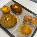 [시흥/장곡동 카페] 장현지구 베이커리 카페 빵단지