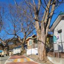 대전2동 경로당 이미지