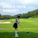 설해원CC 후기 | 4년 만에 다시 찾은 명문 골프장, 역시 설해원은 설해원이었어요