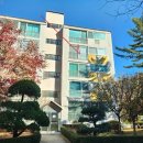 서현초교 이미지