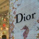 시티레이디 | ෆ. #5 디올 DIOR ::: 부산 신세계 백화점 센텀시티점 레이디 디올 스몰 구매, 언박싱 후기