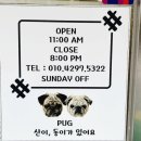네일콤마