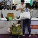 강아지천국 이미지