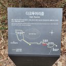 제주 셋알오름 일제 고사포진지 Daum카페
