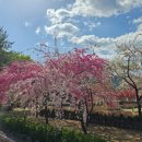 도화보건지소 이미지