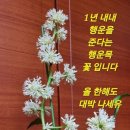 본디