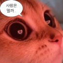 멍블리앤미 | MAY 아이 헬프 유?