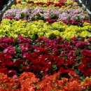 원예농장 이미지