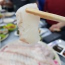 동백7호