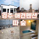 나나네 애견샵 | 경주 애견 독채 펜션 따숲 후기 강아지랑 첨성대 애견동반
