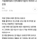 이거 개공감ㅋㅋㅋㅋ여시 기혼보다 맘카페 기혼이 차라리 나음 이미지