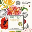 자연의향기-꽃 이미지