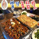 스트레스 해소되는 매콤한 서울 닭발 맛집 4 이미지