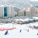 주식회사 제일골프 이미지