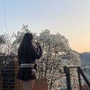 장수방앗간 | 공주 가볼만한곳(공주중동성당) • 인절미축제 다녀온 후기