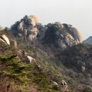 방가방방 이미지