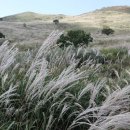 은빛축산 이미지