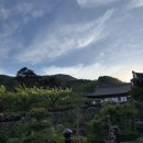 욜로한옥민박 네이버블로그