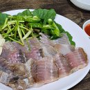홍탁나라 이미지