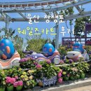 [울산 놀거리] 웨일즈카트 주말 방문 : 기다리다 못 탄 후기 수국축제 장생포고래문화마을 (위치 / 주차...