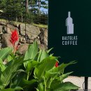 제주살이: 카페후기 '발트 글라스 커피(Balt Glas Coffee)'