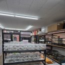크레산도 - 수성구 알파시티2로3길 48-11 | 대구 파충류샵 ○크레산도 후기! 도마뱀 택배 수령 & 용품 쇼핑까지 한 번에!