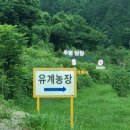 하청농장 이미지