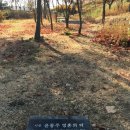 하늘과 바람과 별과 시, 윤동주 이미지