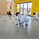 깃든태권도장 이미지