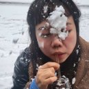 만세포차
