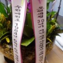 매원초등학교 이미지