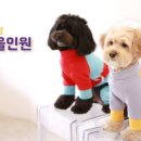 문멍 이미지