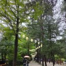 강변로4-1(서) | [LOG] 경기도 춘천 비 오는 날의 <남이섬> 투어! + 스카이라인 짚와이어 내돈내산 탑승 후기까지