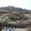 섬진농원 이미지