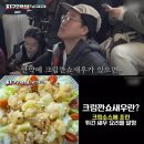 불로오락실 이미지