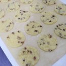 카페창업반 이미지