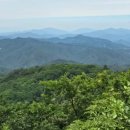 낙동정맥트레일(3코스-심미골단풍길) 이미지